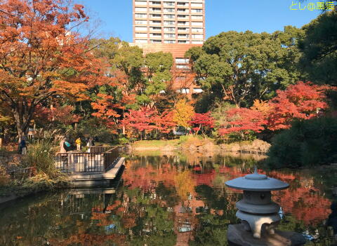 横浜公園で紅葉